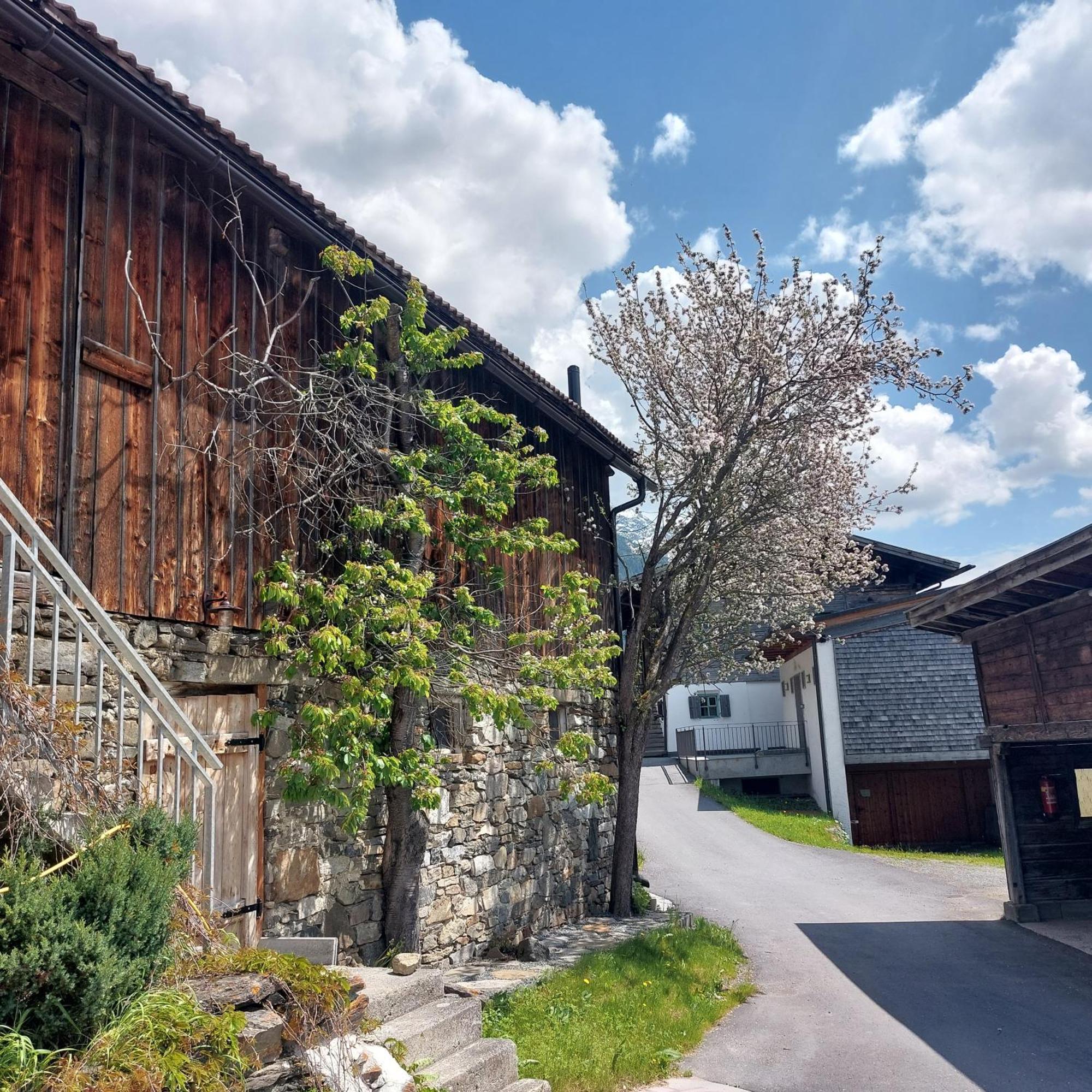 Appartamento Bichlhof Niederthai Esterno foto